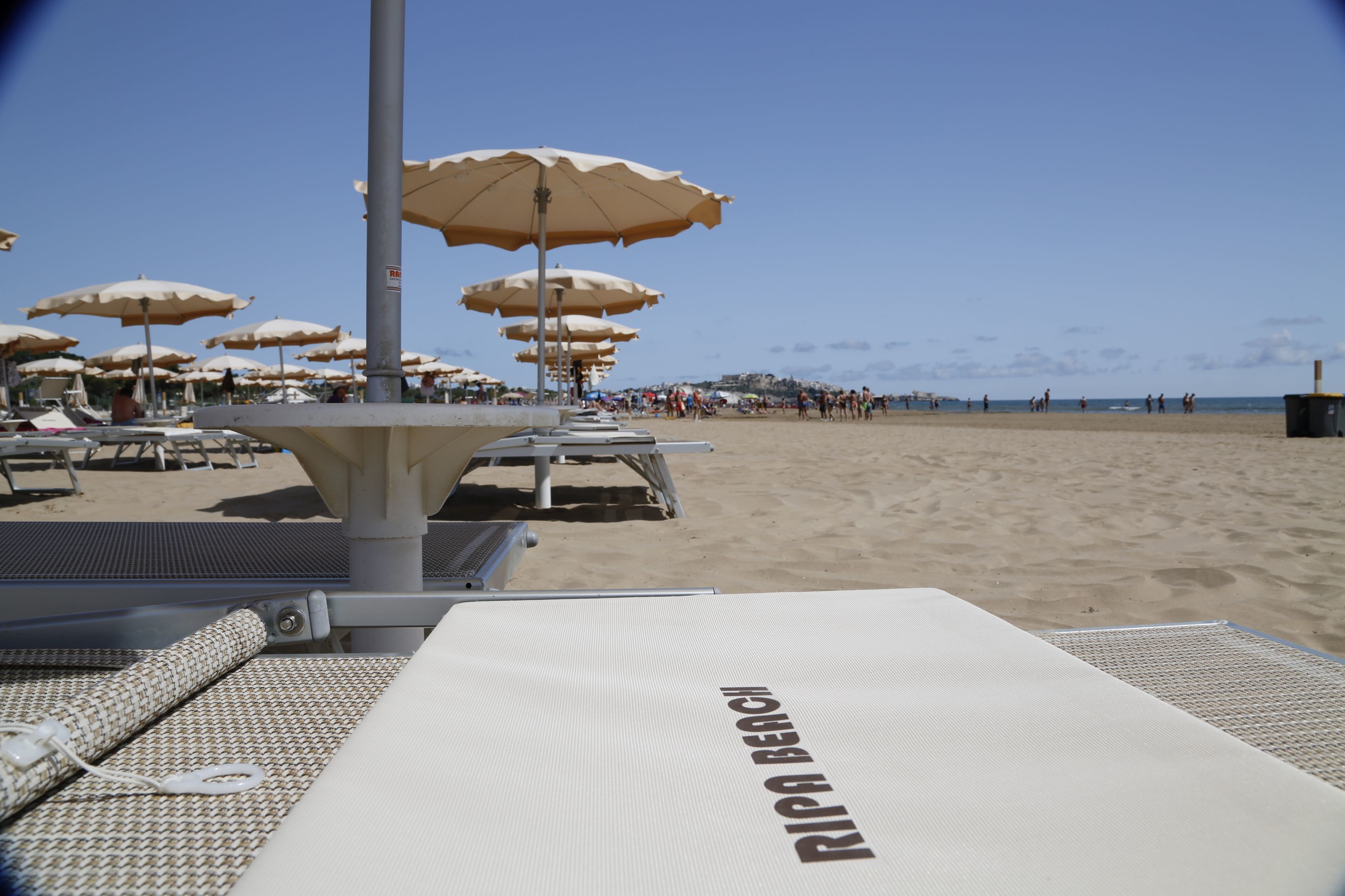 Une plage avec de nombreux parasols et des chaises longues.