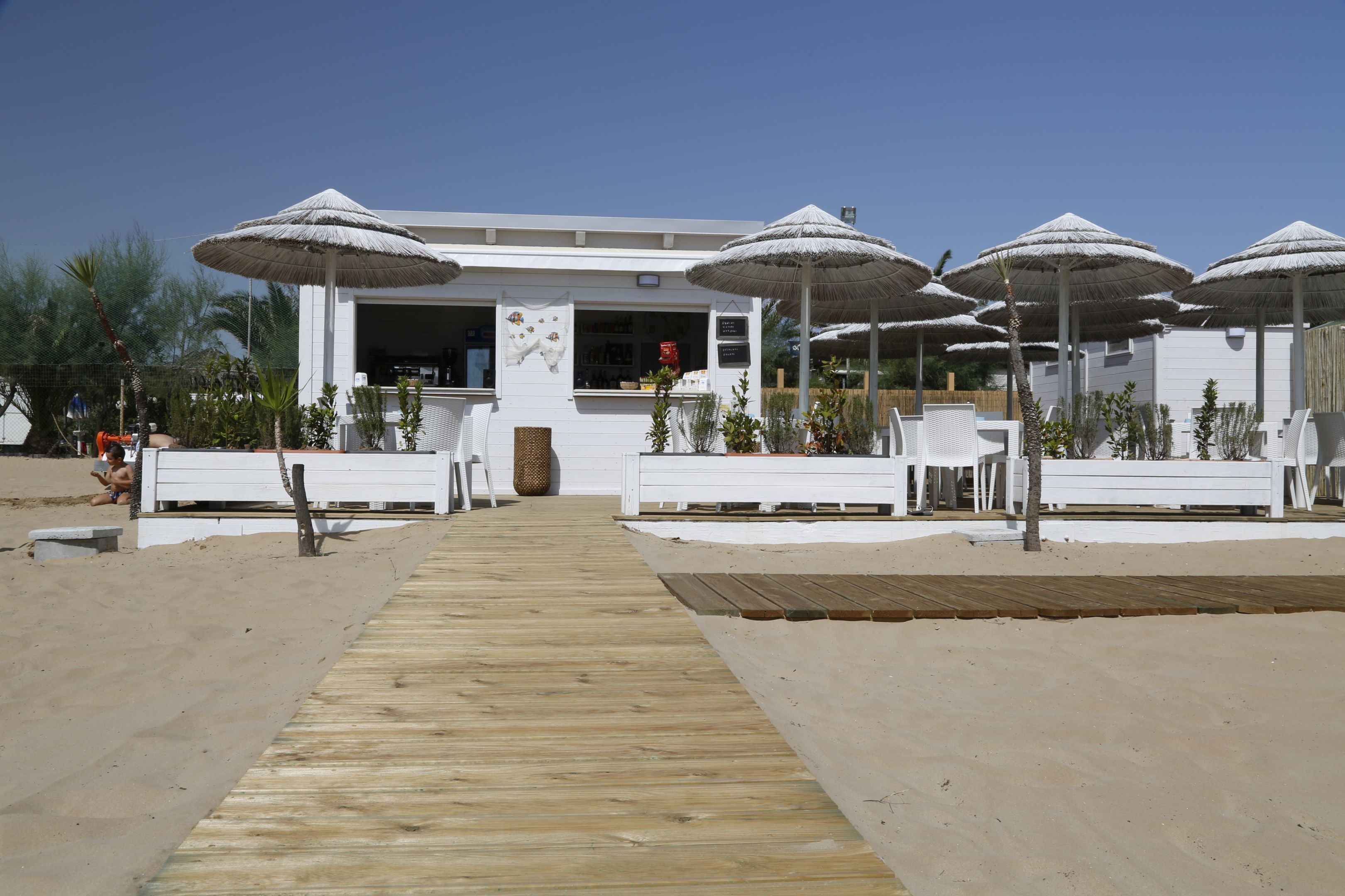 Playa privada, tumbonas, sombrillas y bar en la playa
