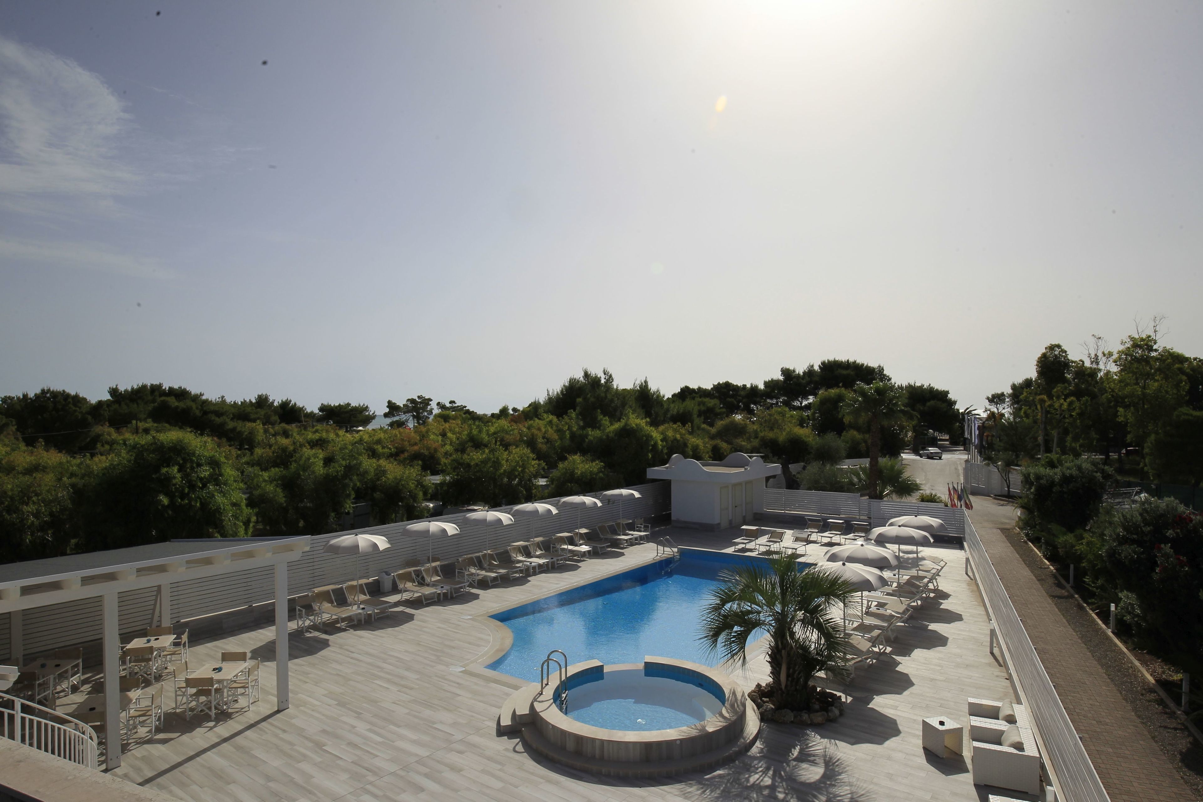 Un espace piscine aménagé sur le toit, avec des chaises longues et des parasols, le tout entouré de verdure.