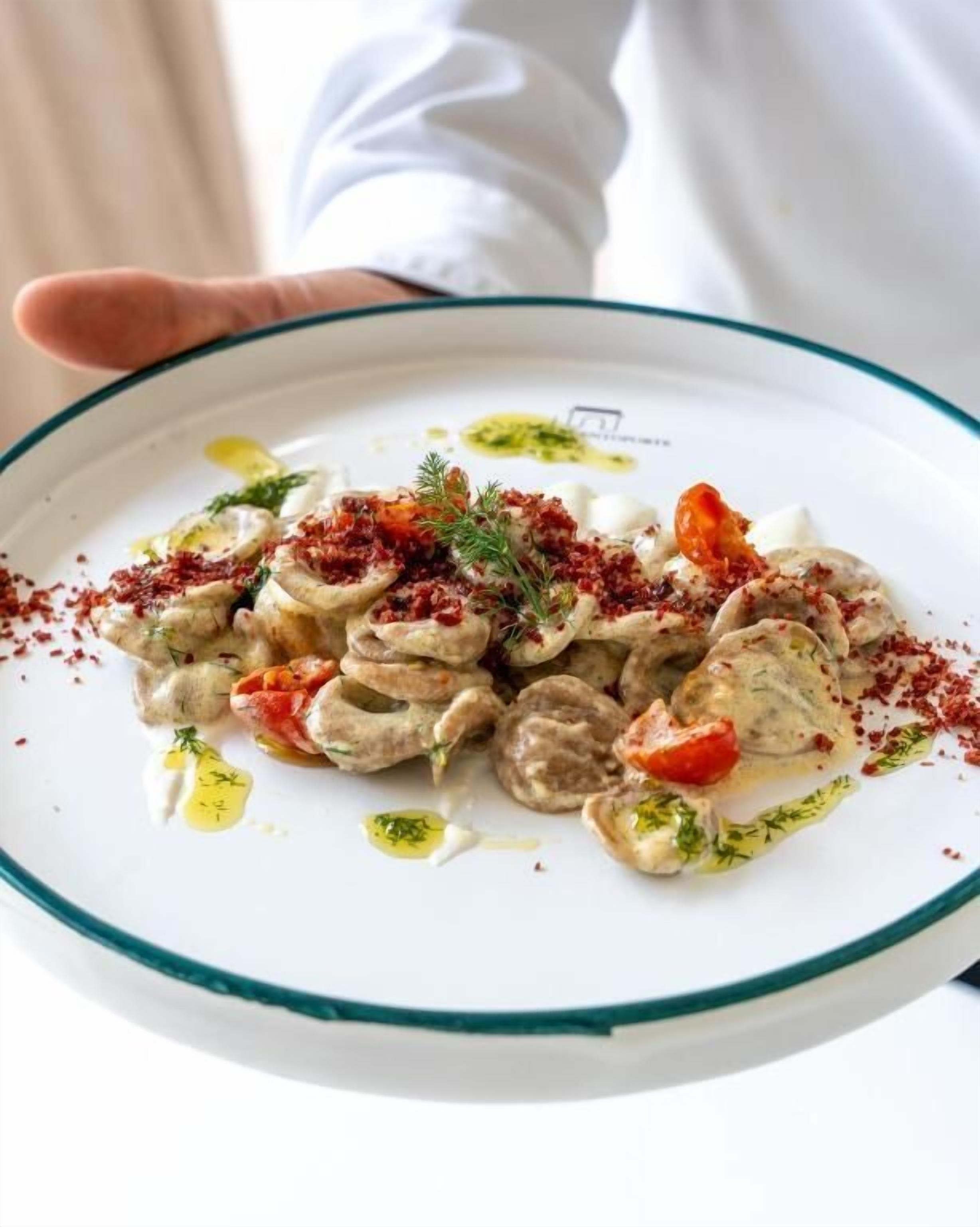 A plate of food with a creamy sauce, garnished with herbs and red flakes, held by a person.