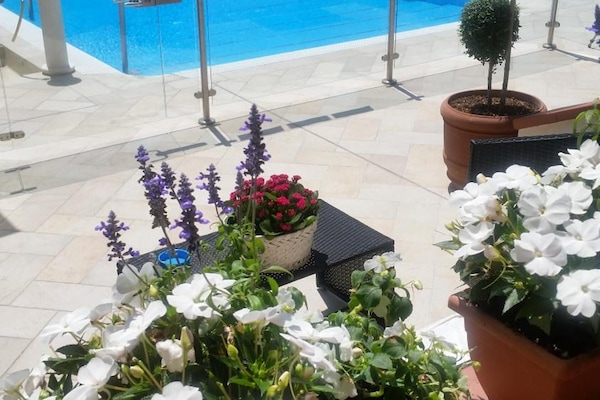 Seasonal outdoor pool, sun loungers