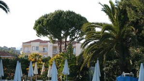 A hotel with a red-tiled roof, surrounded by palm trees and white umbrellas. - Hotel Splendid (Diano Marina)