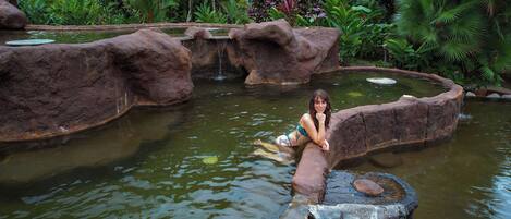 A person sitting on a rock by a pond with a waterfall, surrounded by lush greenery.
