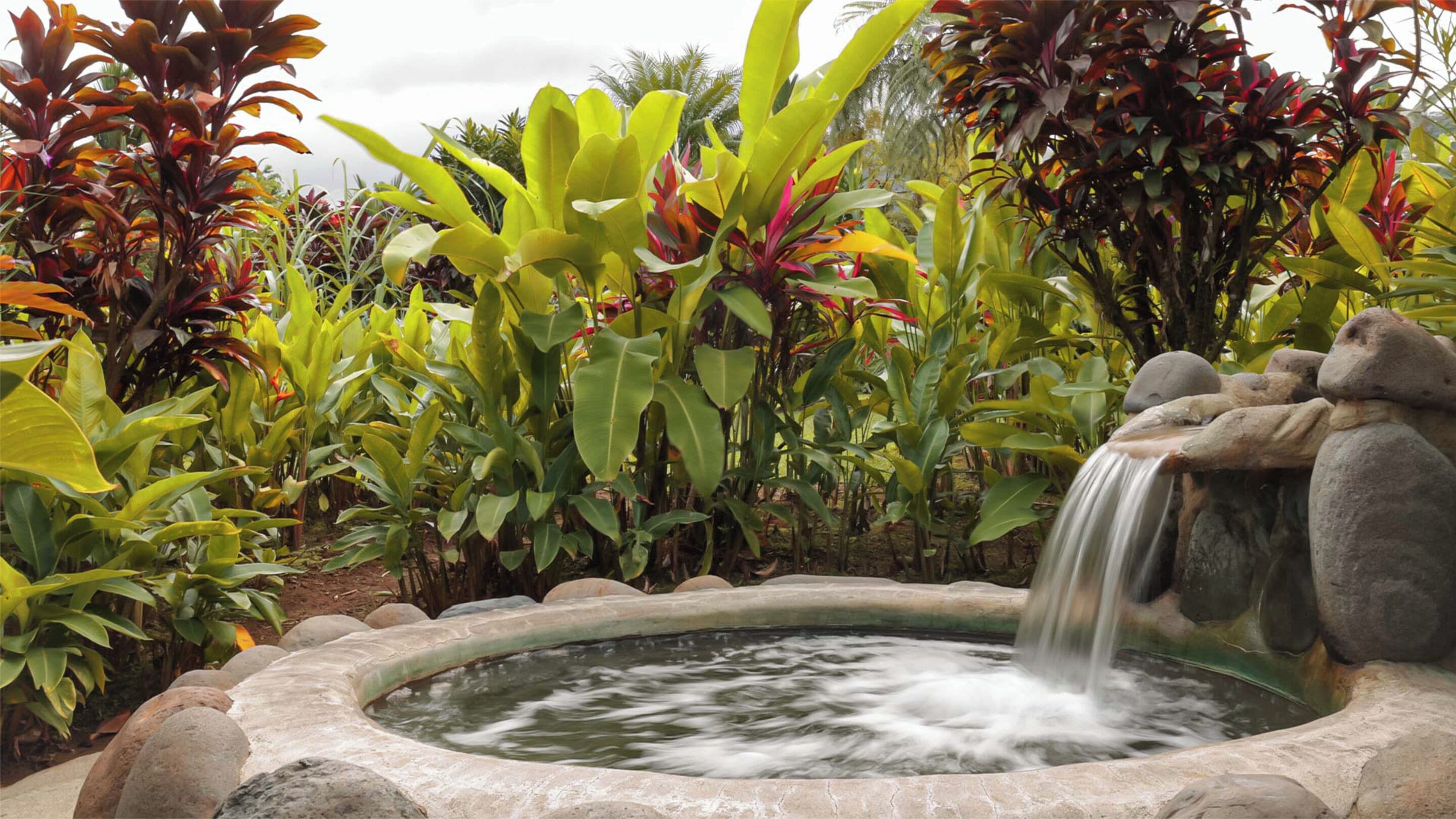 Un jardin avec un petit étang et une cascade.