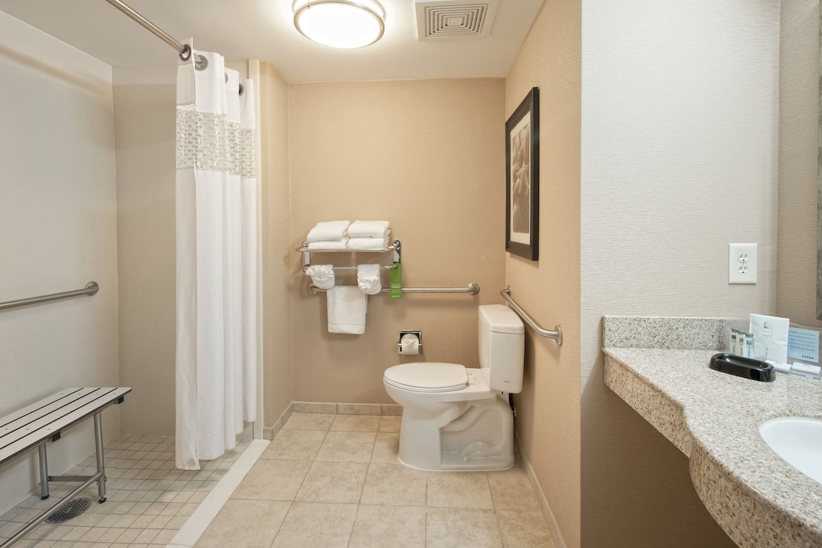 combined shower/bathtub, free toiletries, hair dryer, towels