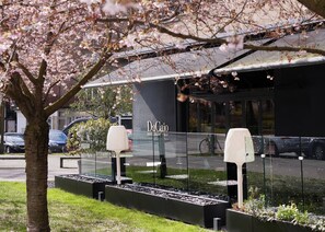 A modern building with a glass facade, a sign reading "DaCiao Restaurant Bar," and a tree with pink blossoms in the foreground.