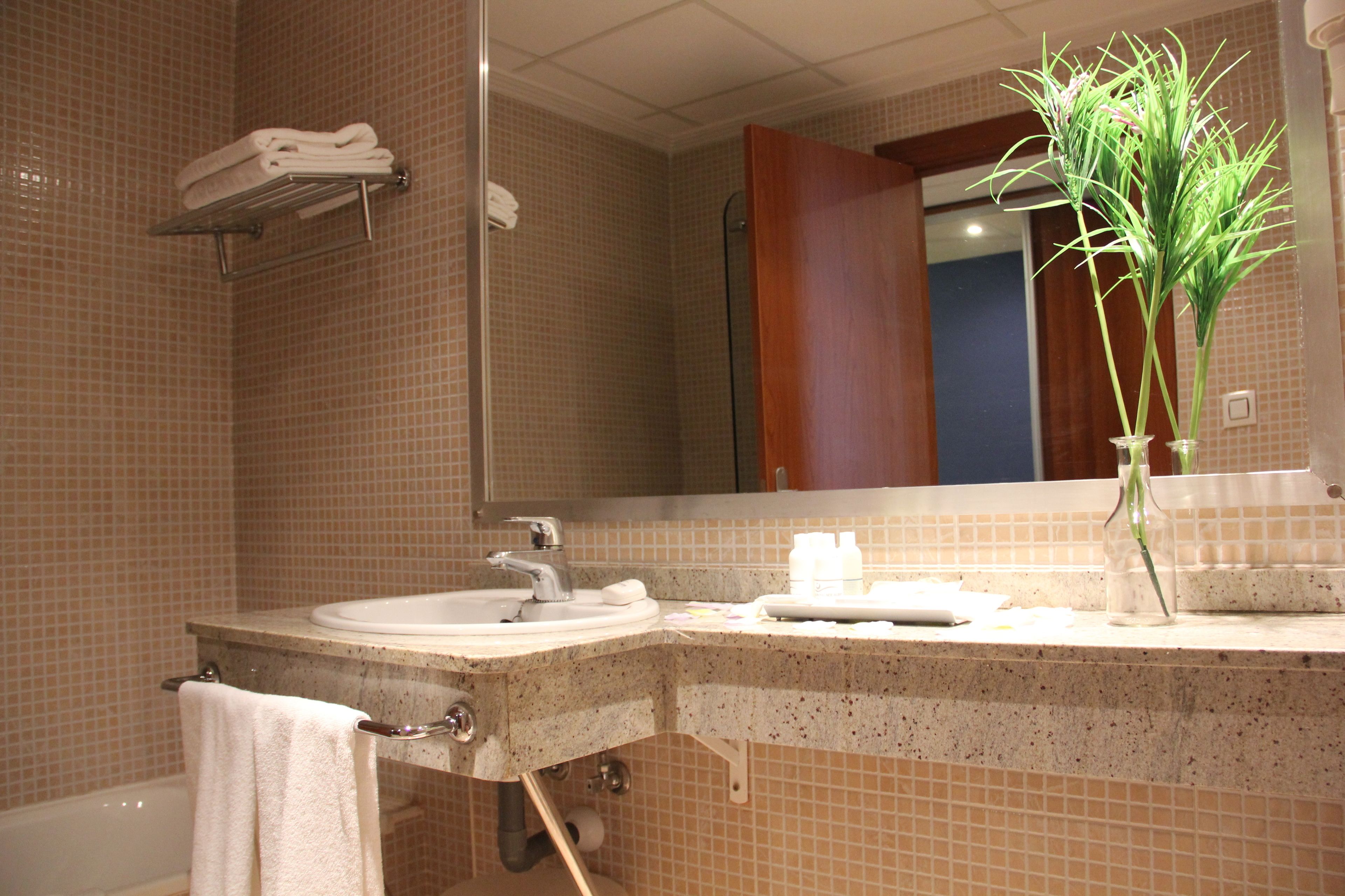 Un baño con lavamanos, espejo, toallero y una planta en el mostrador.