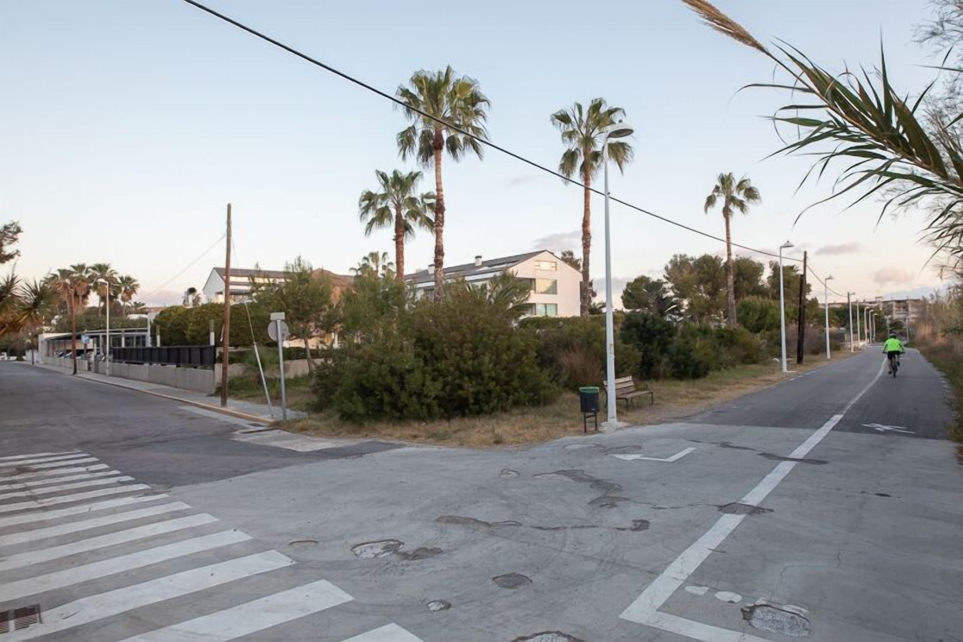 A street with palm trees, a pedestrian crossing, and a cyclist.