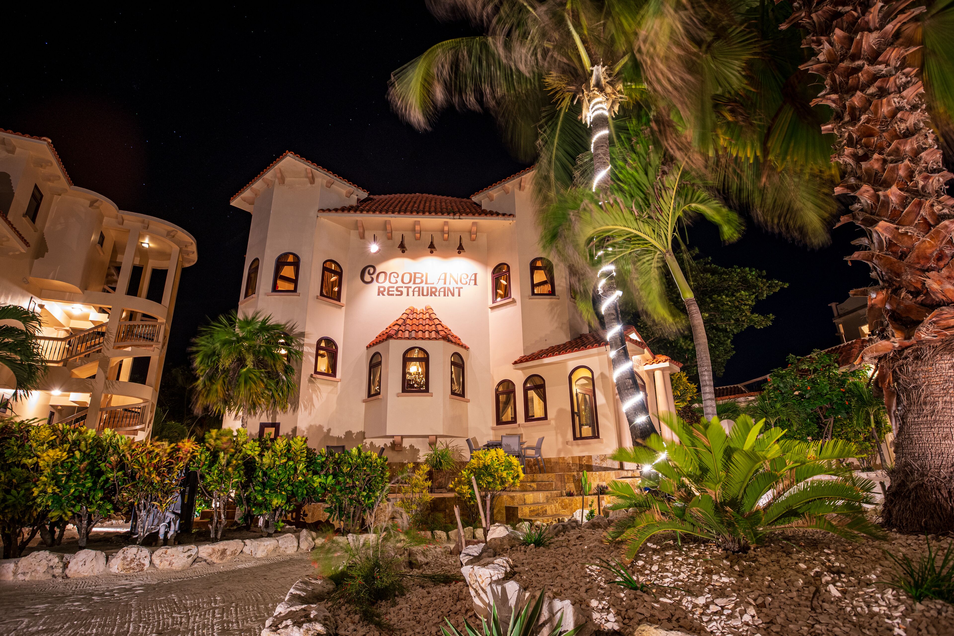 international cuisine