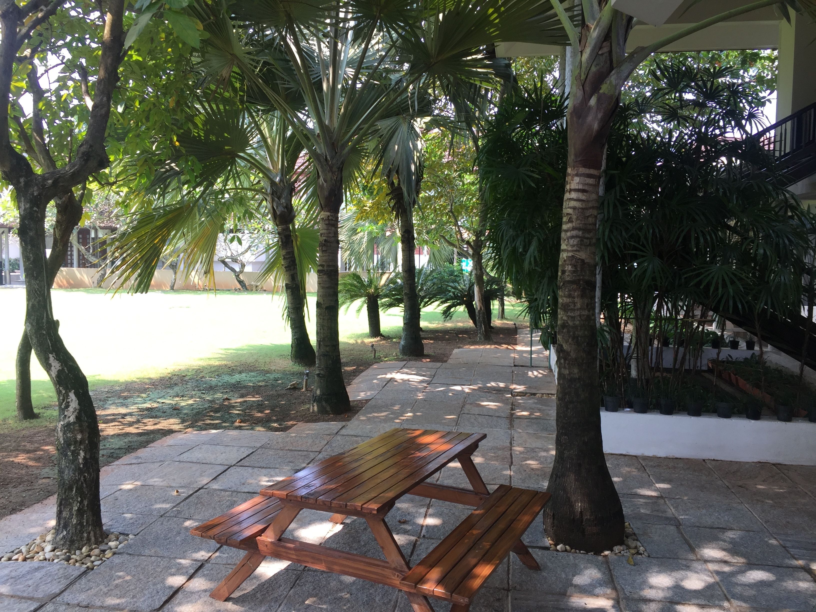 Une table de pique-nique en bois, placée sous un espace abrité et bordée d’un chemin pavé, le tout entouré d’arbres et de verdure.