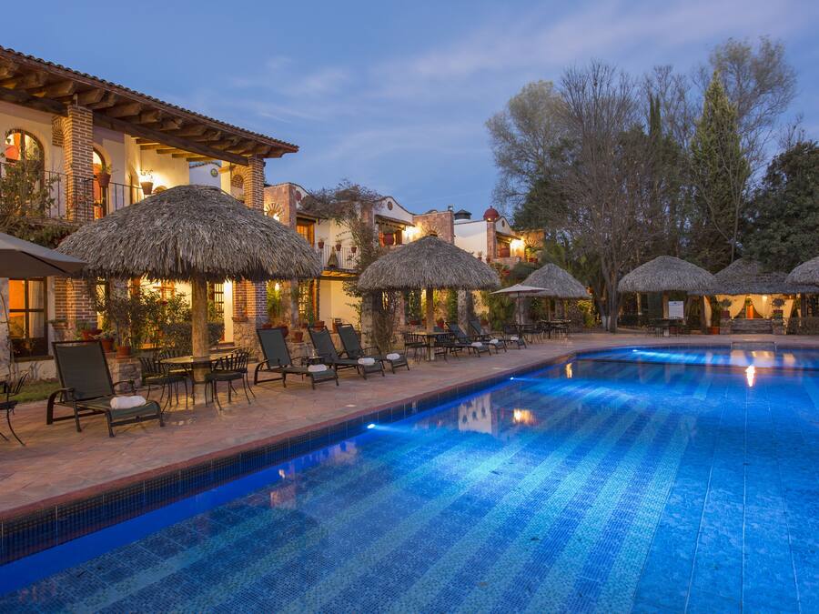 Serveert ontbijt, lunch, diner, internationale gerechten