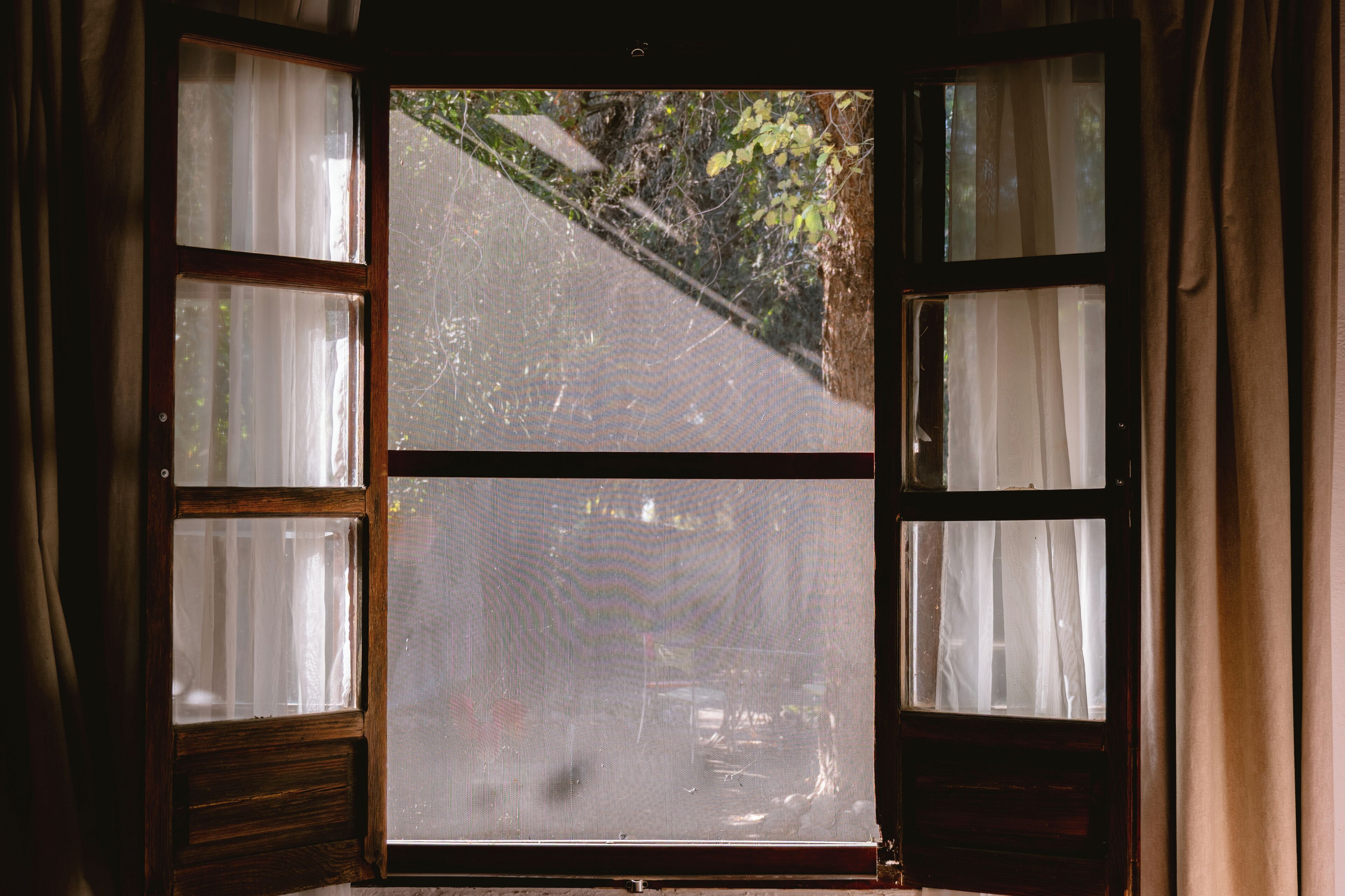 A window with a view of a road and greenery outside.