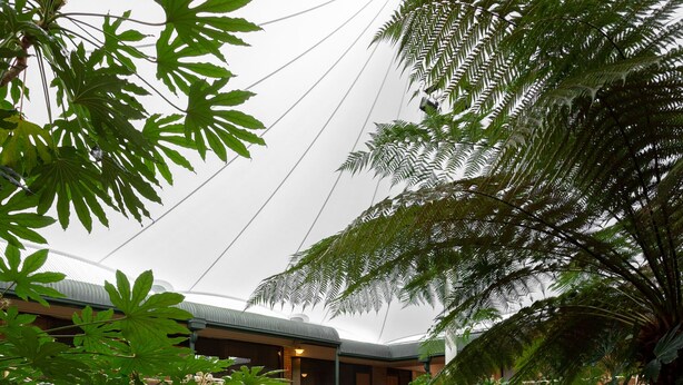 A covered walkway with glass railings, surrounded by lush greenery and a tiled floor. - Mayfair Plaza Motel (Sandy Bay)