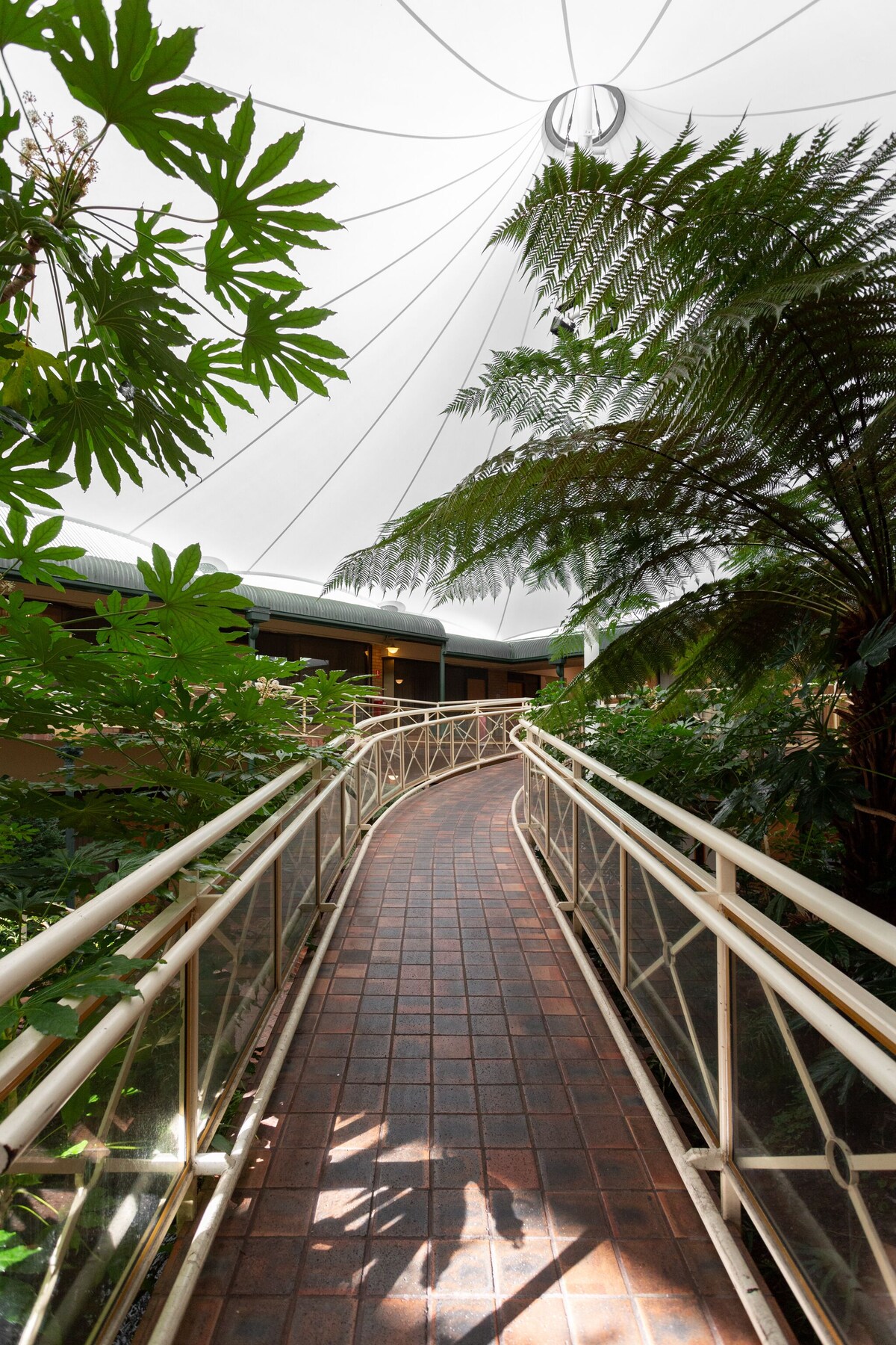 Mayfair Plaza Motel