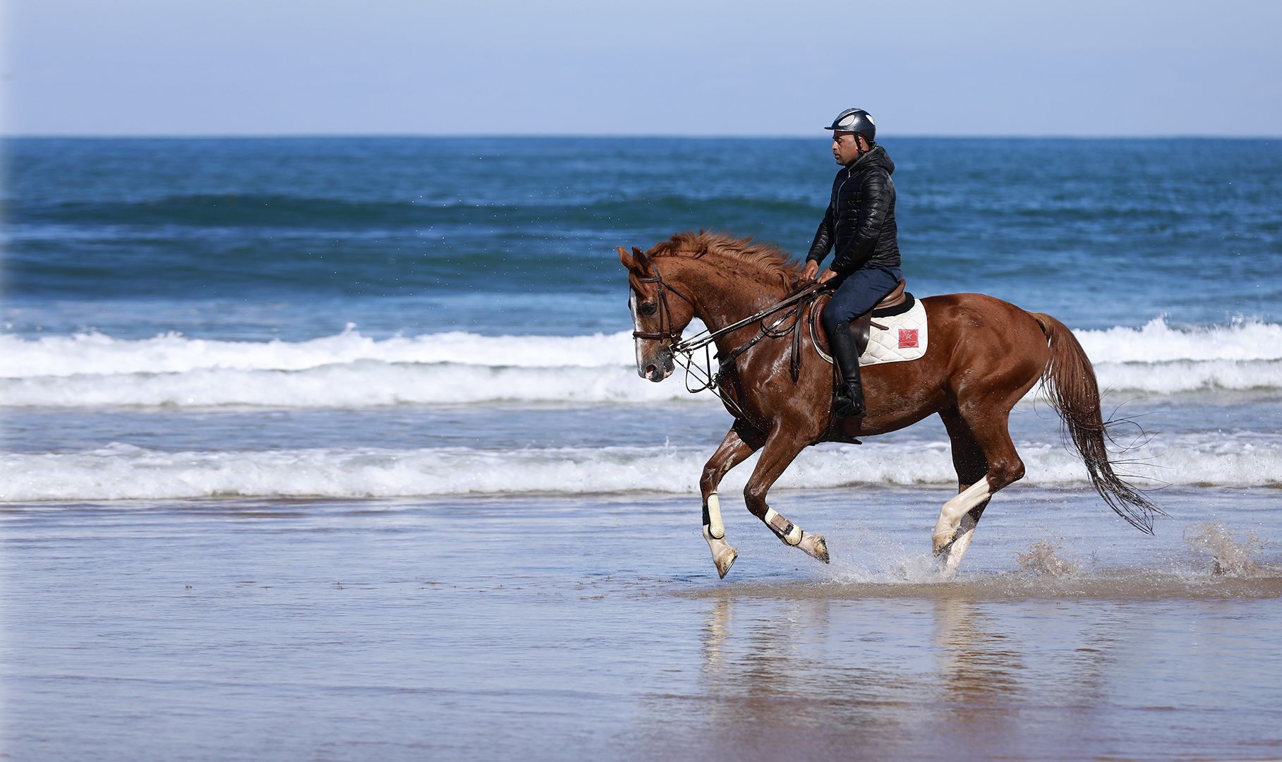 Un jinete a caballo en la playa, con olas del océano al fondo.