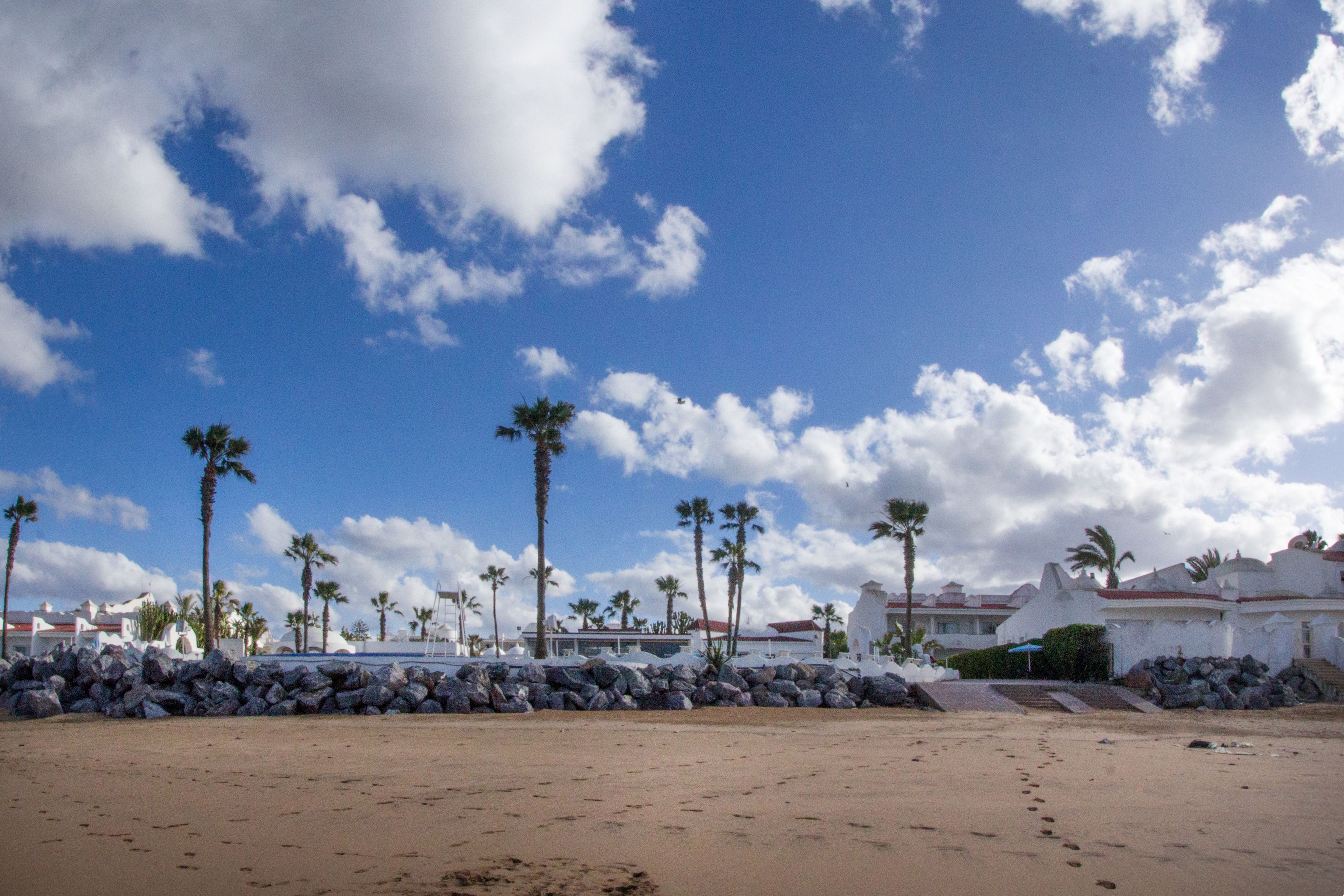 Una playa con palmeras, costa rocosa y edificios al fondo.