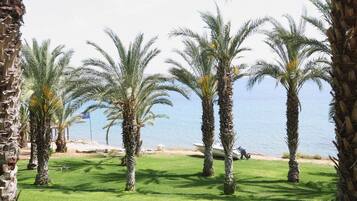 Playa