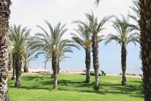 Nær stranden