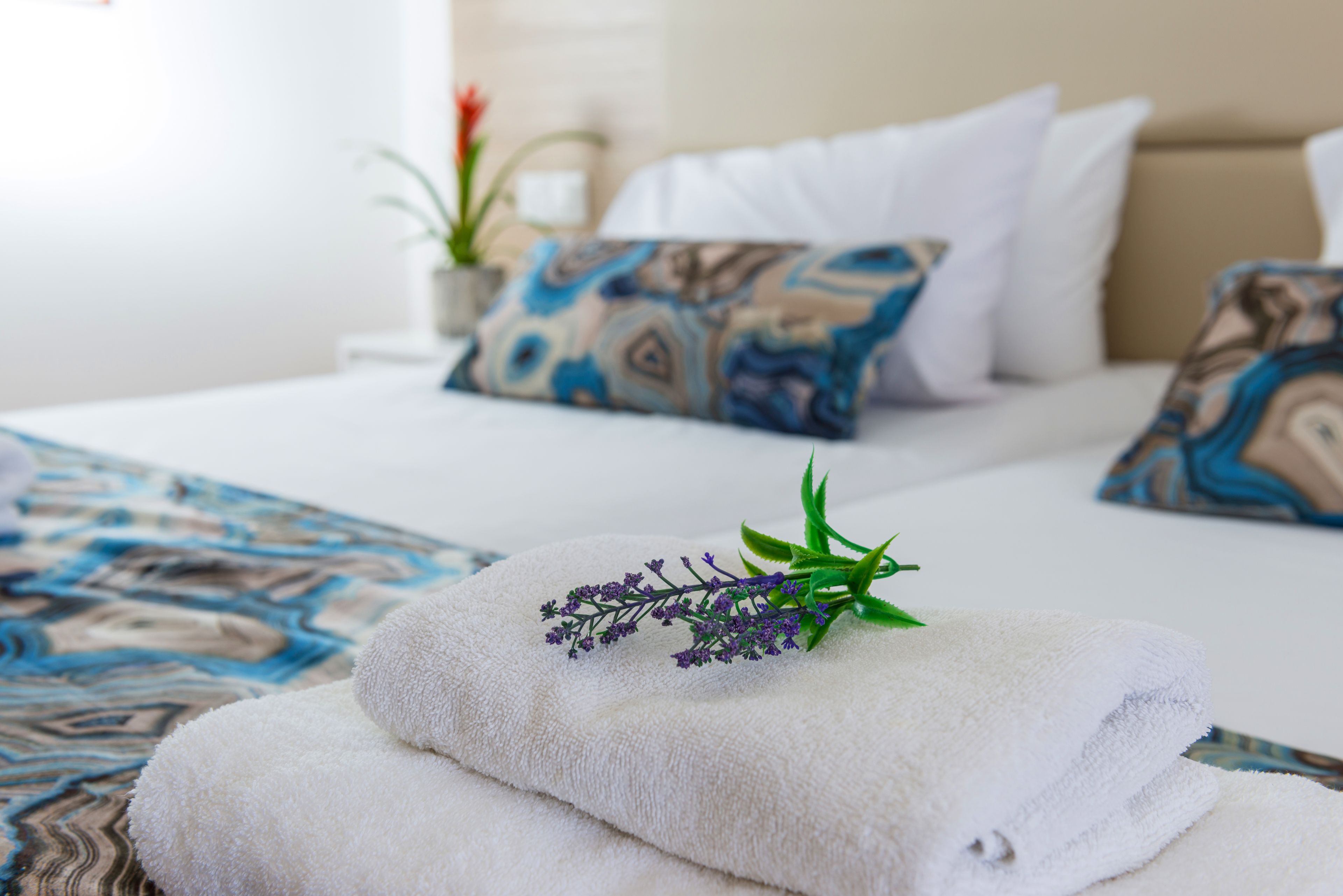 A neatly made bed with white linens and decorative pillows, a small plant on the side, and a patterned bedspread.