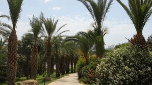 Un sentier bordé de palmiers et d’arbustes en fleurs.