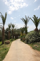 Jardim