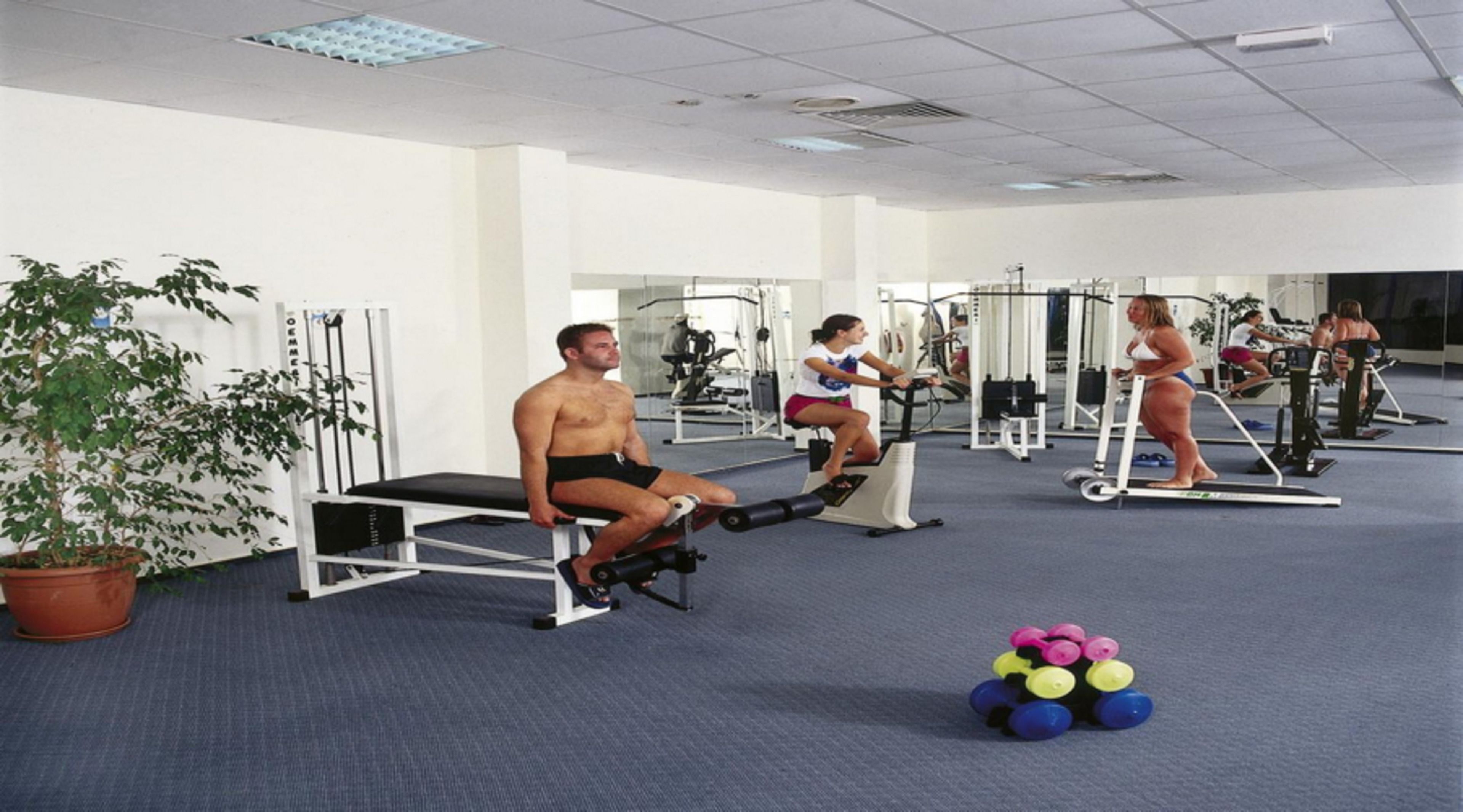 Une salle de sport équipée de matériel d’exercice, avec un mur entièrement recouvert de miroirs et une plante en pot.