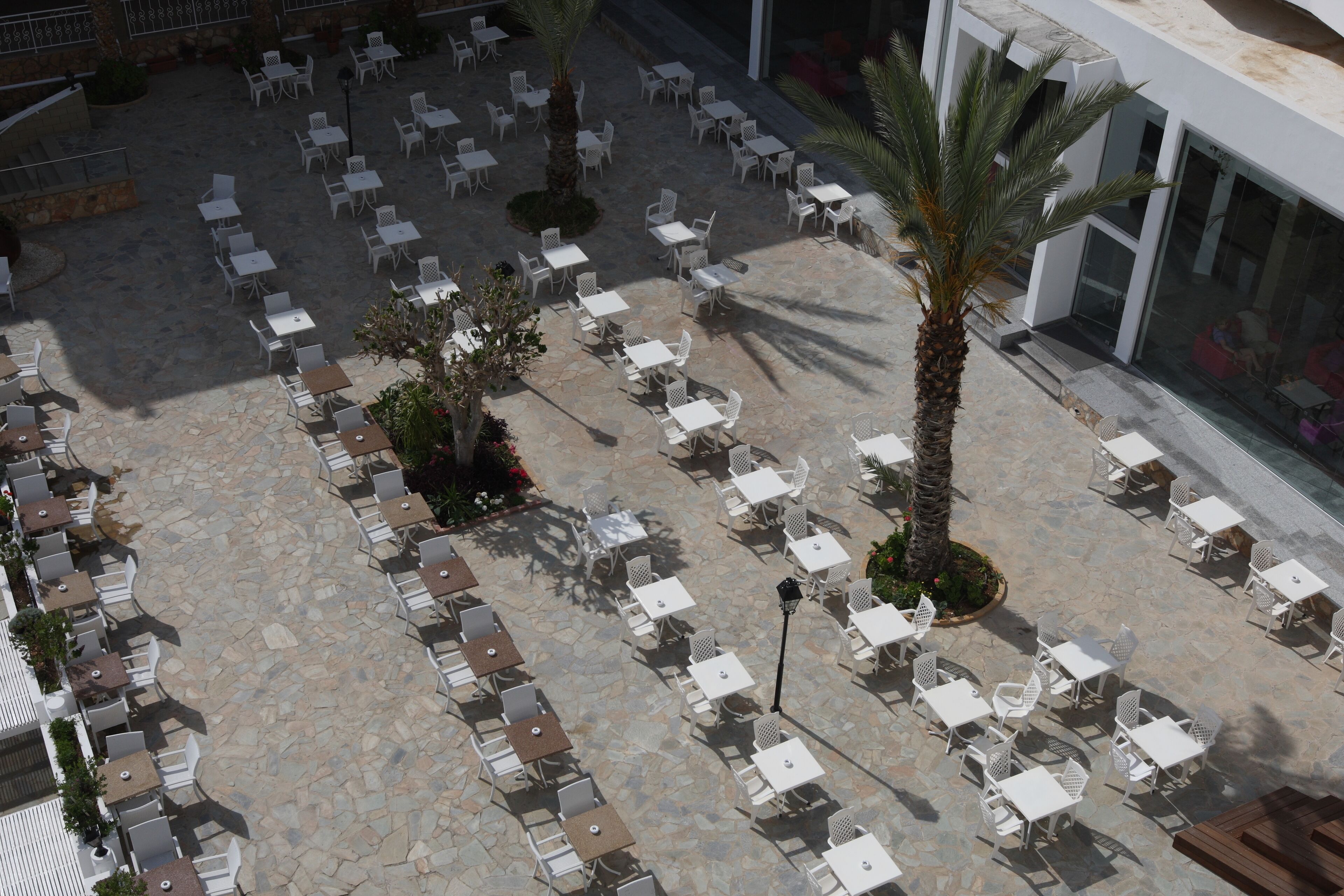 An outdoor patio area with white tables and chairs arranged in rows, surrounded by stone flooring and palm trees.