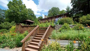 A wooden staircase leading to a building with a rustic design, surrounded by lush greenery and flowering plants. - Cliff Dwellers Inn (Blowing Rock)