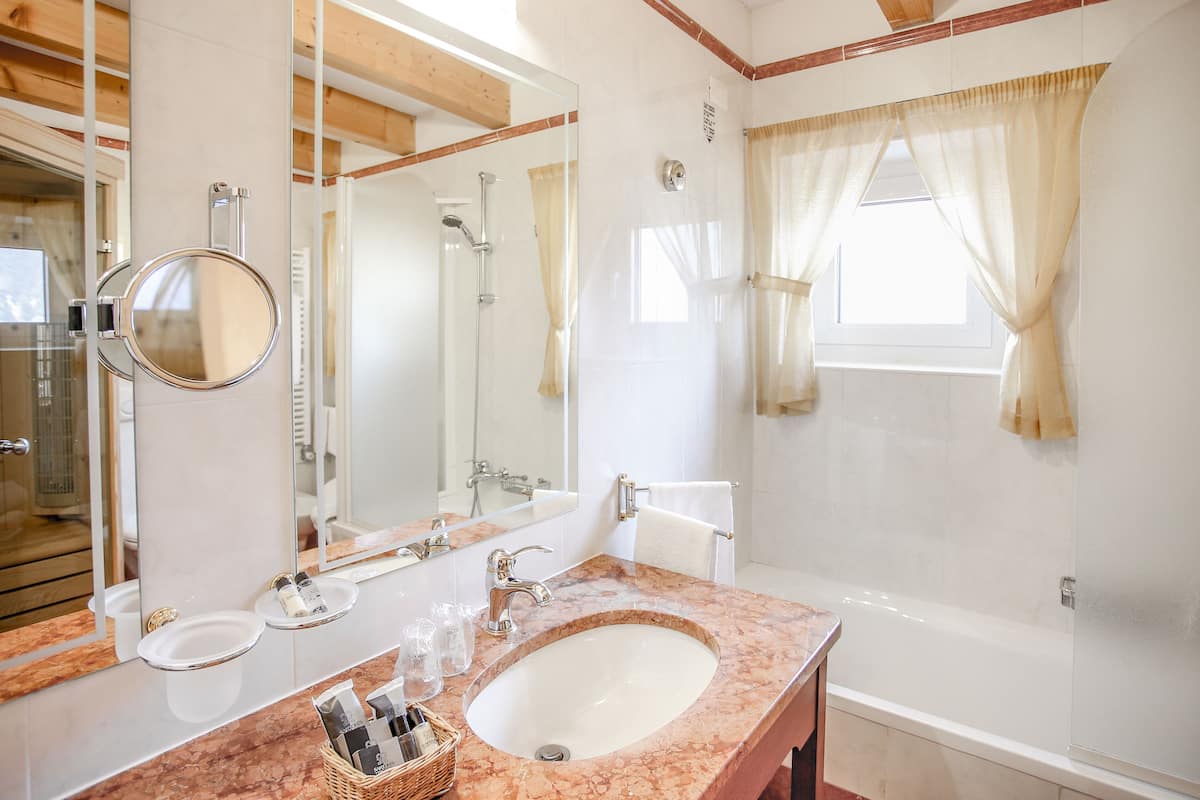 combined shower/bathtub, free toiletries, hair dryer, bidet