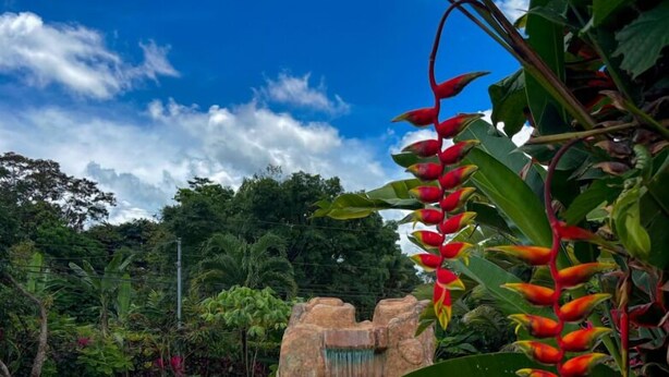 Une piscine d’un bleu éclatant, agrémentée d’une cascade, entourée d’une végétation luxuriante et d’un décor tropical.