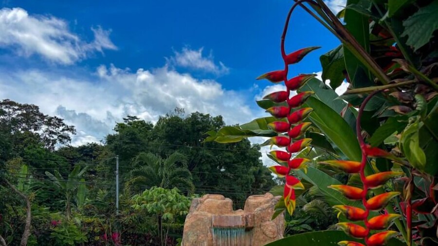 Cabinas La Catarata
