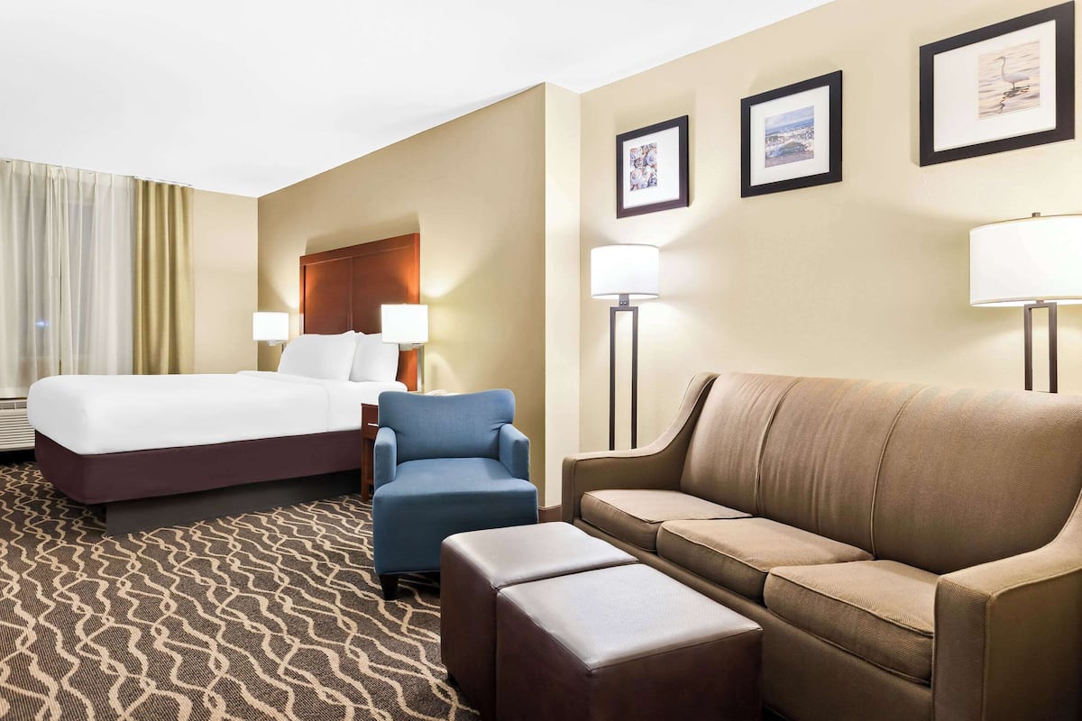 Ein Hotelzimmer mit einem Bett, einem blauen Sessel, einem braunen Sofa und einem gemusterten Teppich.