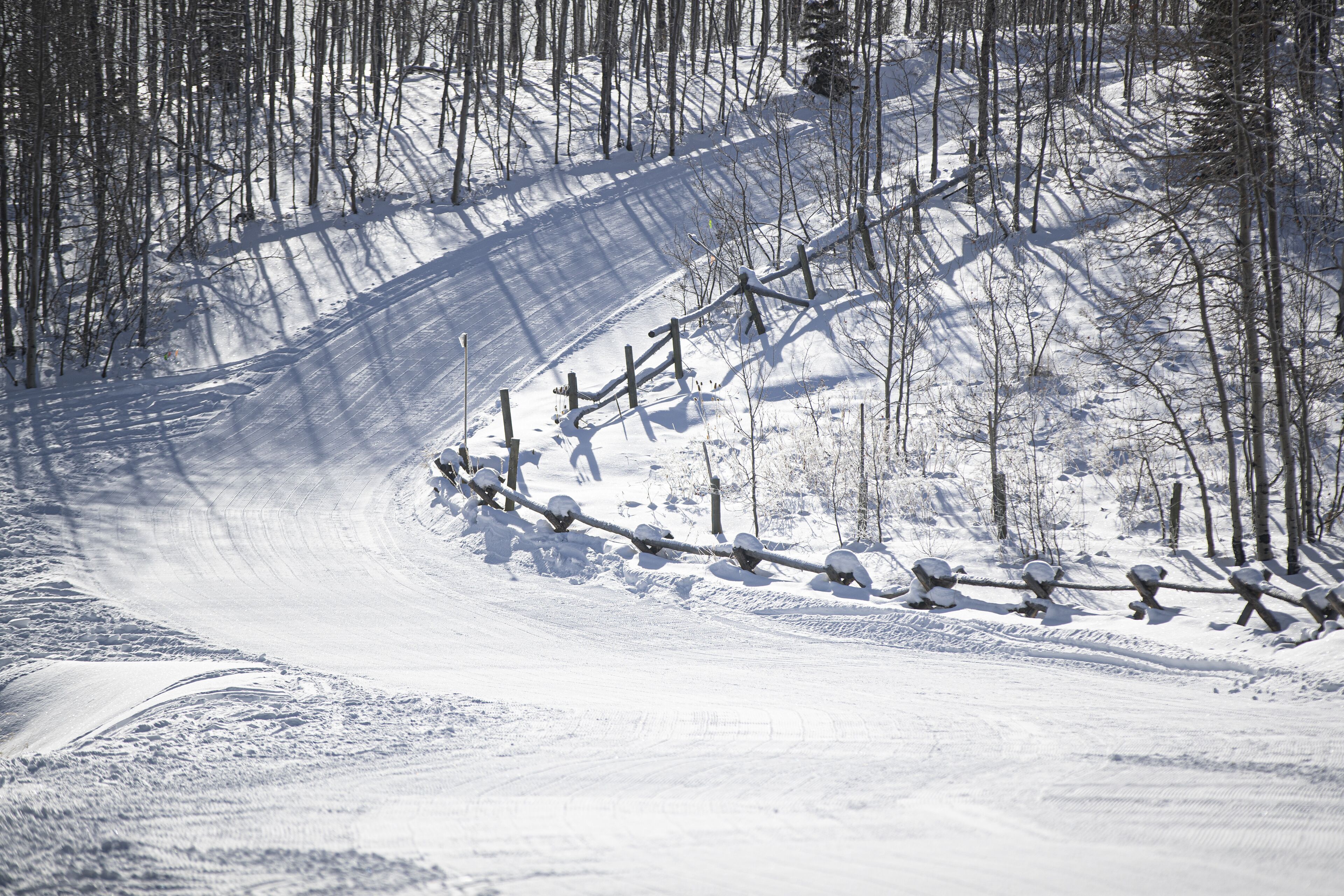 A snowy ski slope with a wooden fence and trees.