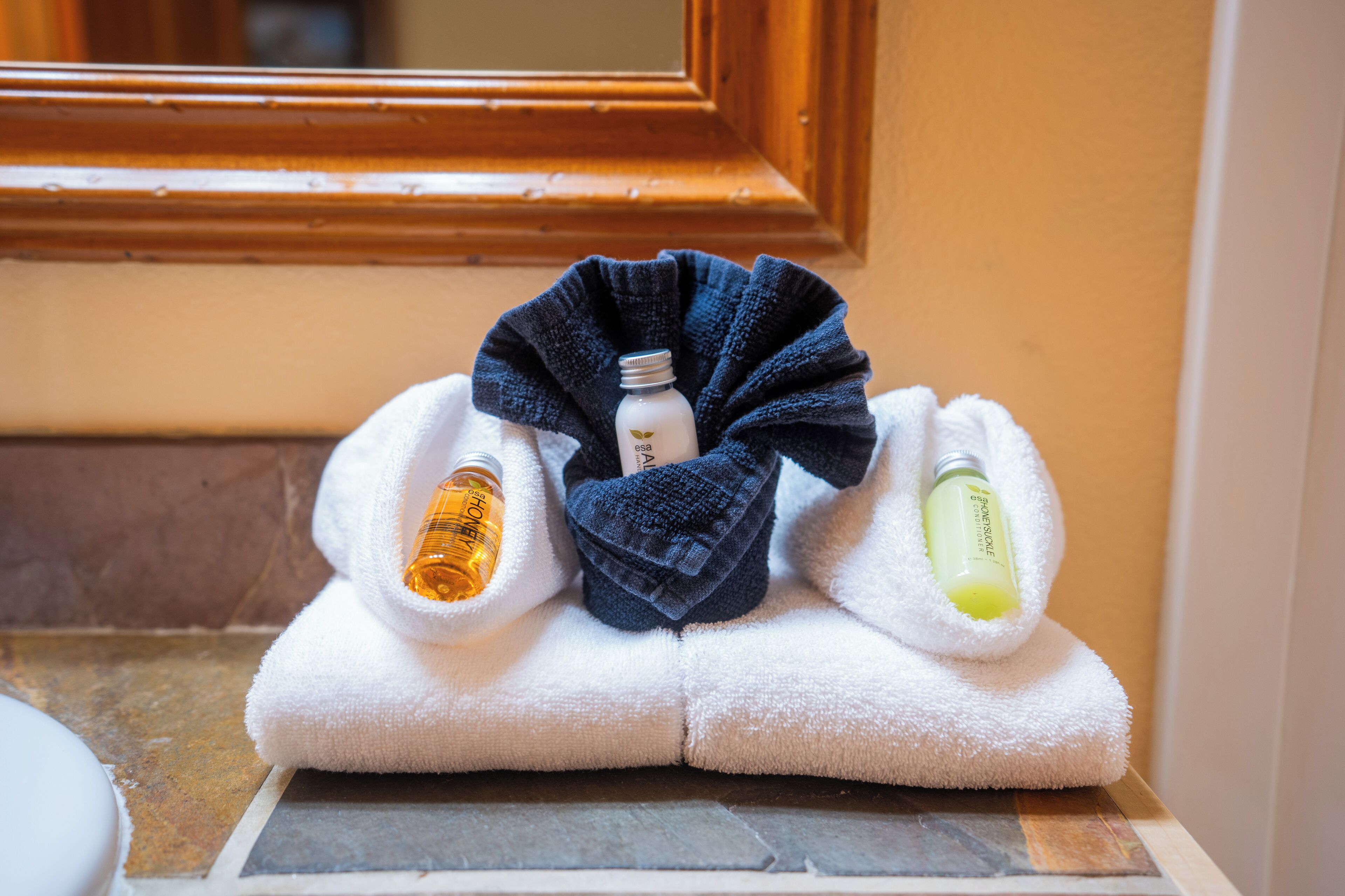 A bathroom with a towel rack holding two towels and two bottles of toiletries.