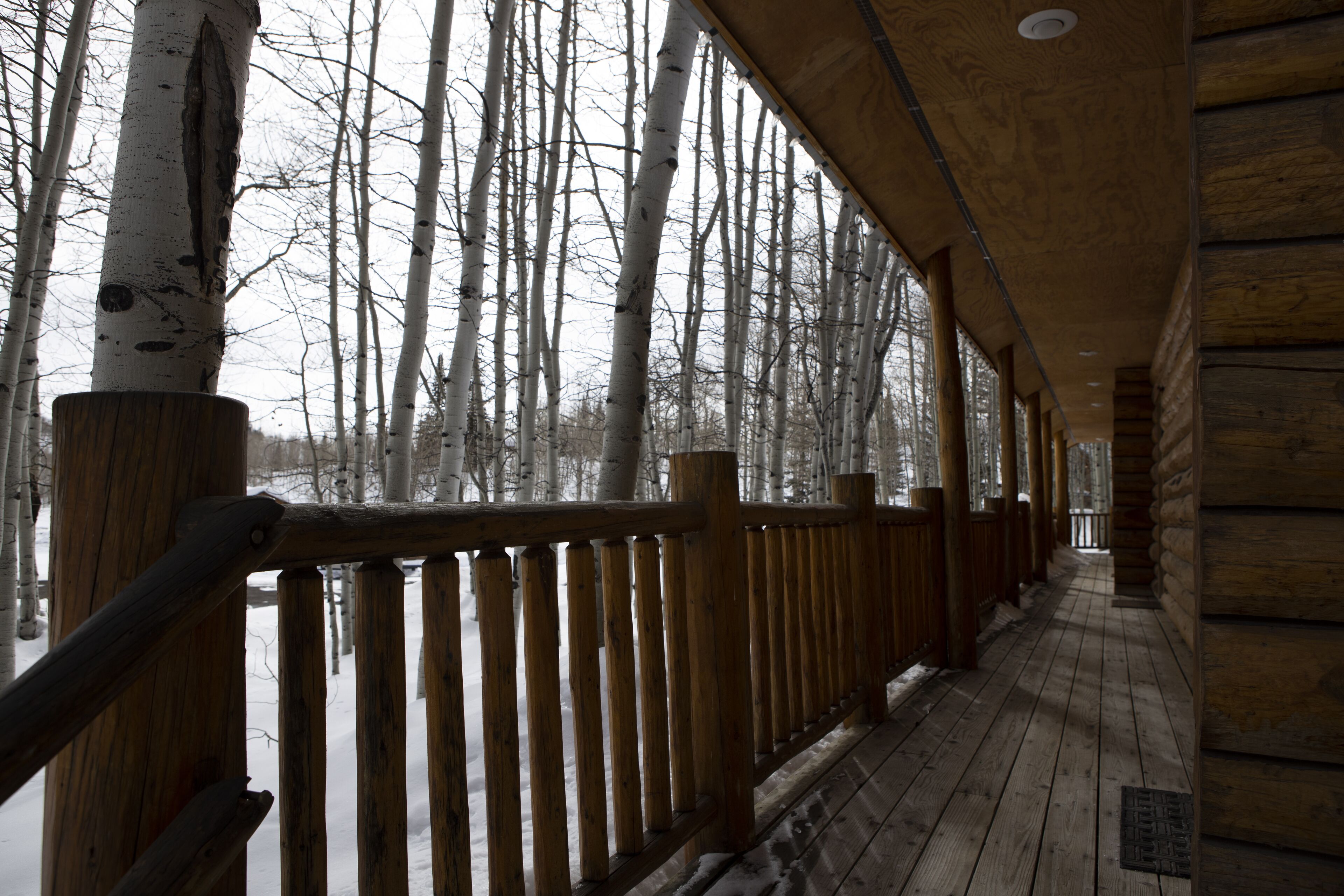 Une terrasse en bois dotée d’une rambarde, entourée d’arbres et offrant une vue sur un paysage enneigé.