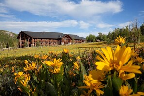 Entrada da propriedade
