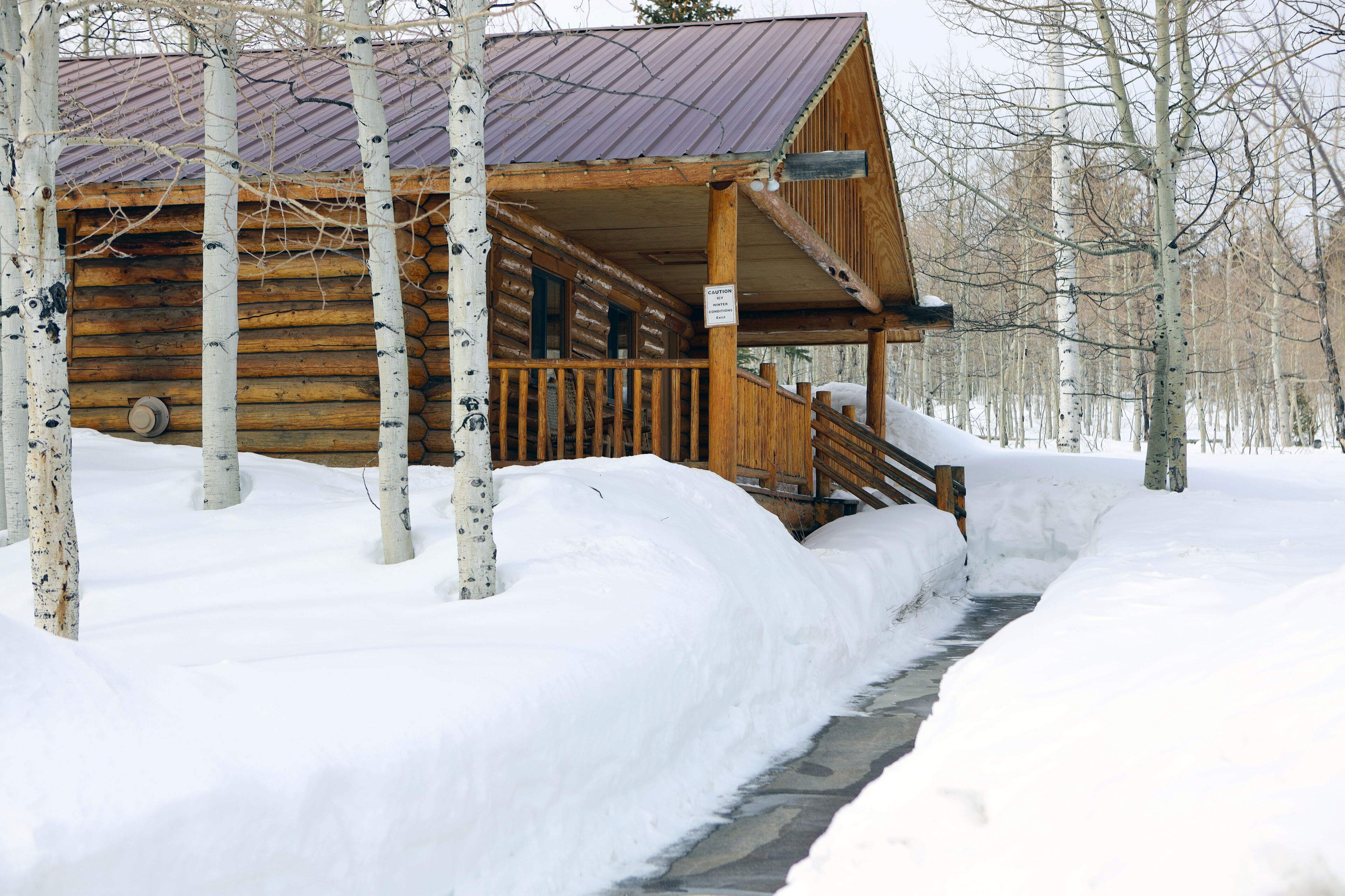 Une cabane en bois dotée d’un porche et d’un escalier menant à l’entrée, entourée de neige et de bouleaux.