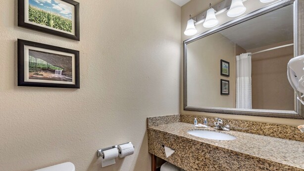 A bathroom with a toilet, sink, and mirror. There are two framed pictures on the wall. - Comfort Inn & Suites Muncie Near University (Muncie)