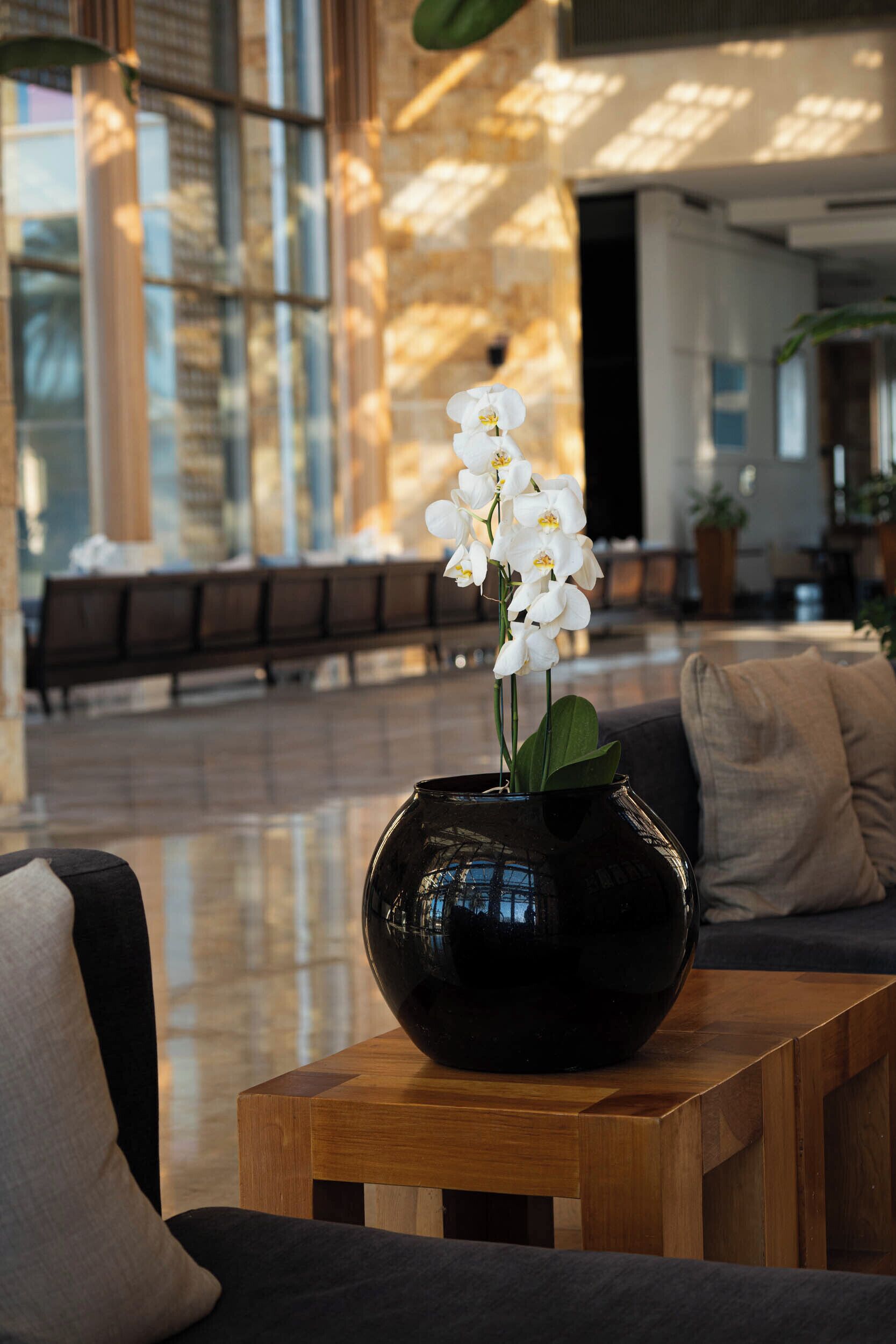 A modern lobby with a black vase of white orchids on a wooden table, a sofa with cushions, and a bench in the background.