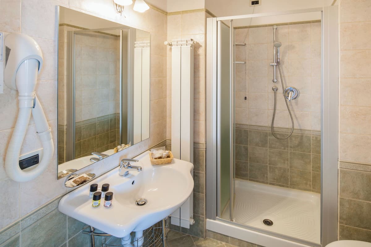 free toiletries, hair dryer, slippers, bidet