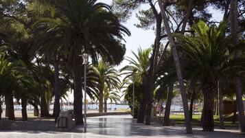Un sendero pavimentado bordeado de palmeras y un banco de piedra.