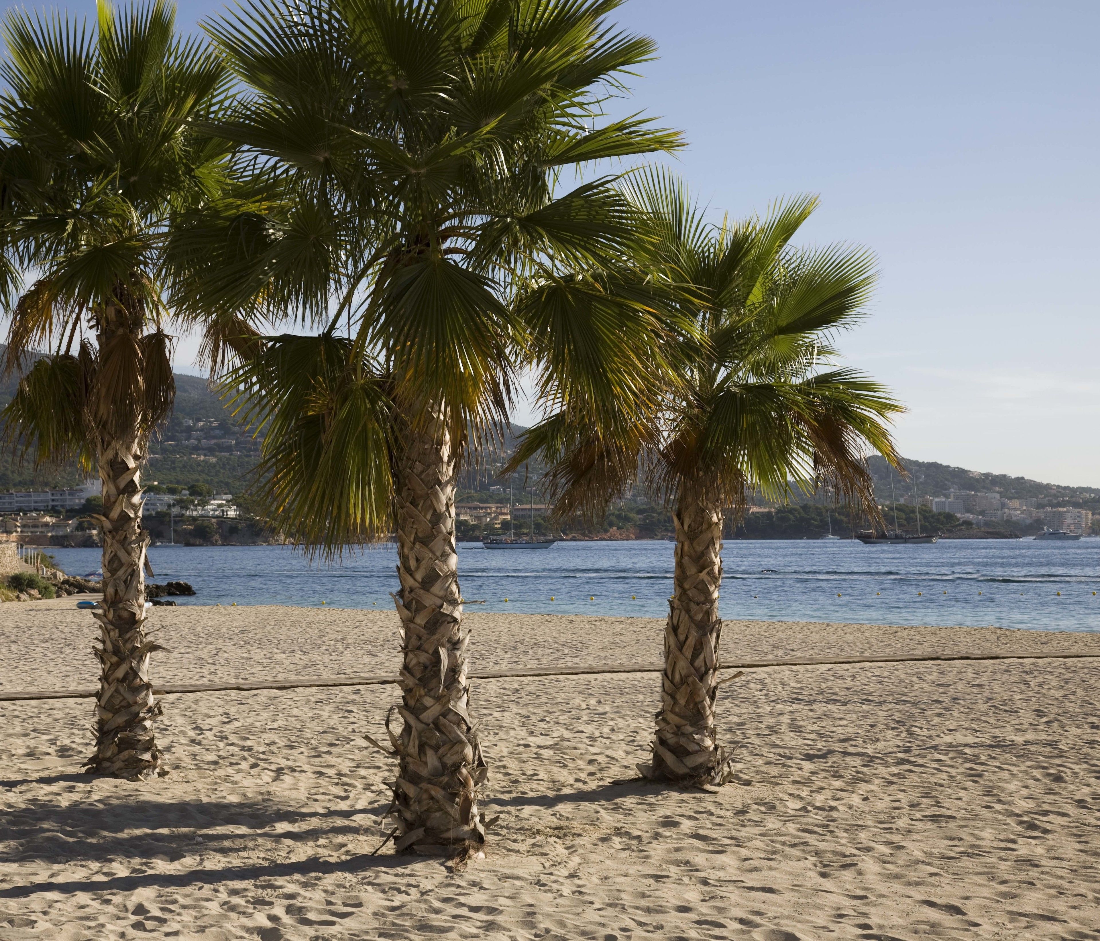 Beach nearby, windsurfing
