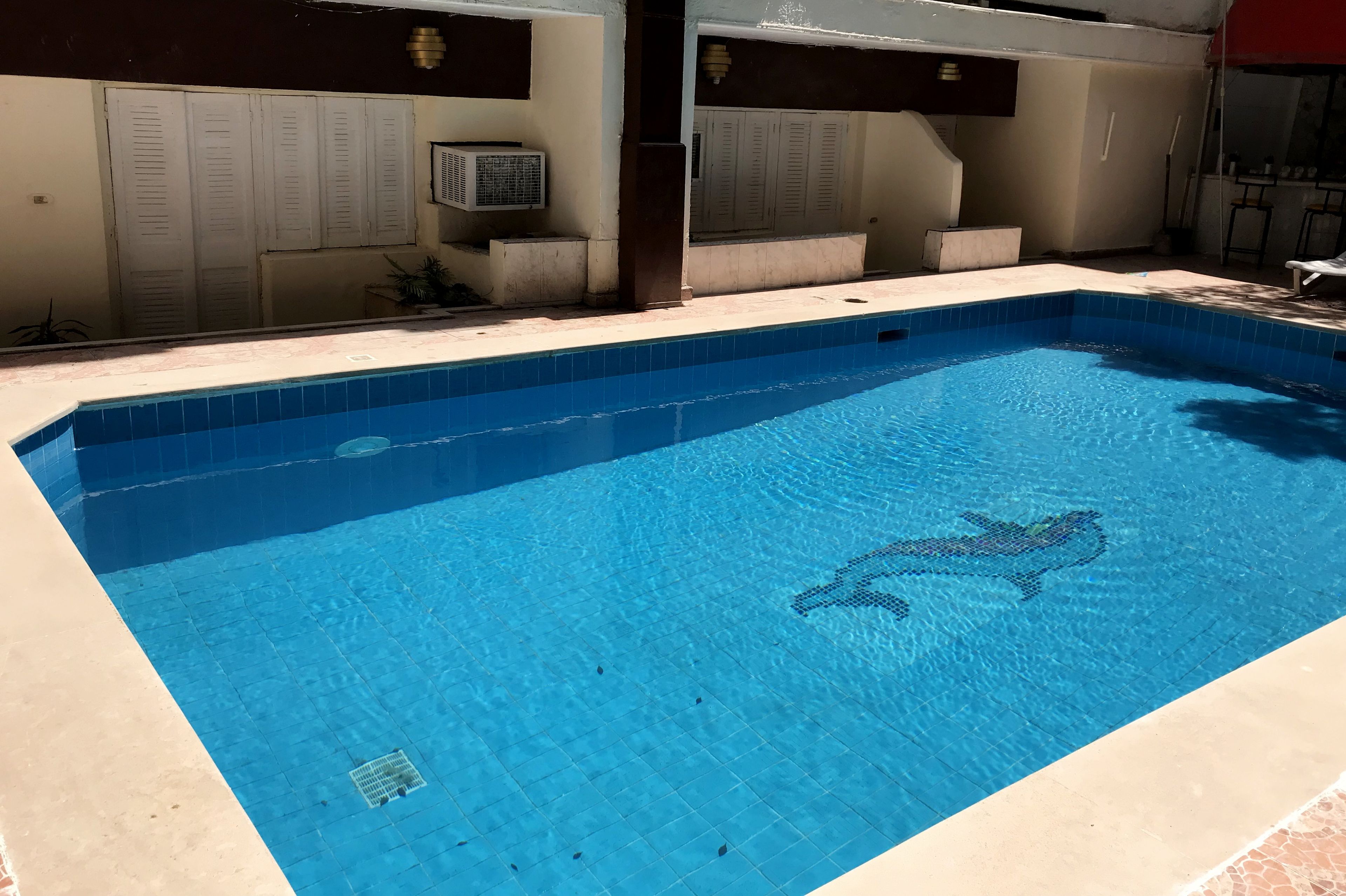 Una piscina rettangolare con un mosaico raffigurante un delfino, circondata da una pavimentazione piastrellata e un bordo in cemento.
