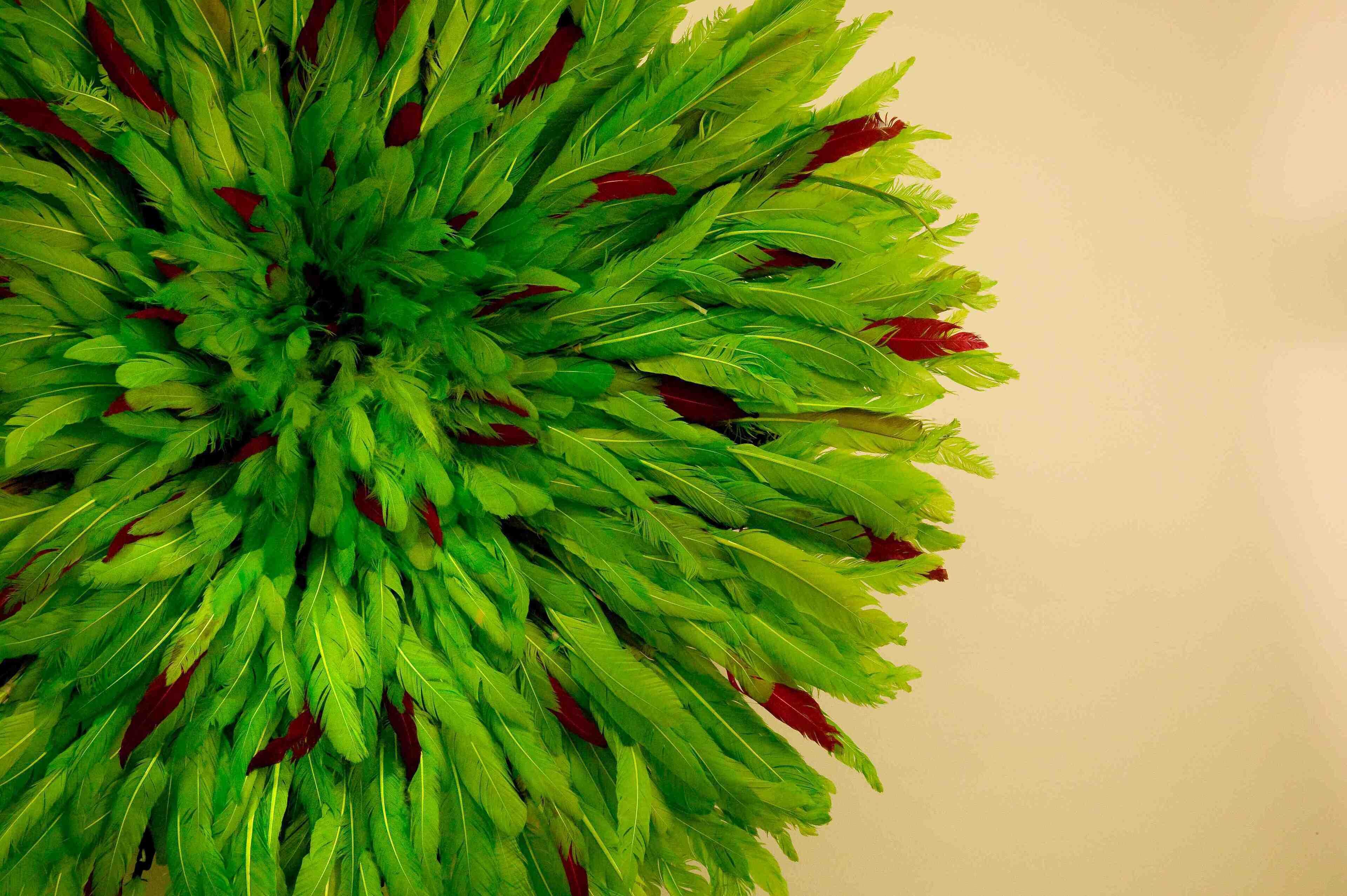 A close-up of green and red feathers.