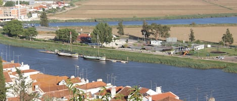Eksteriør