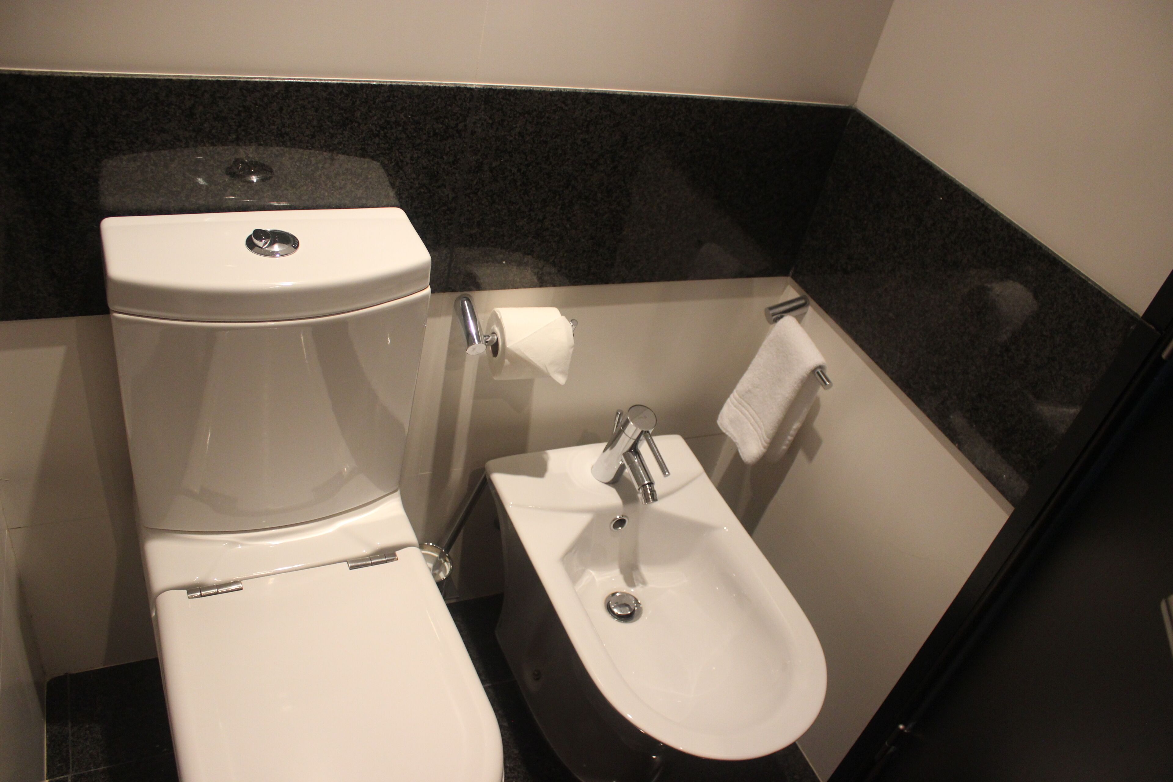 combined shower/bathtub, free toiletries, hair dryer, bidet