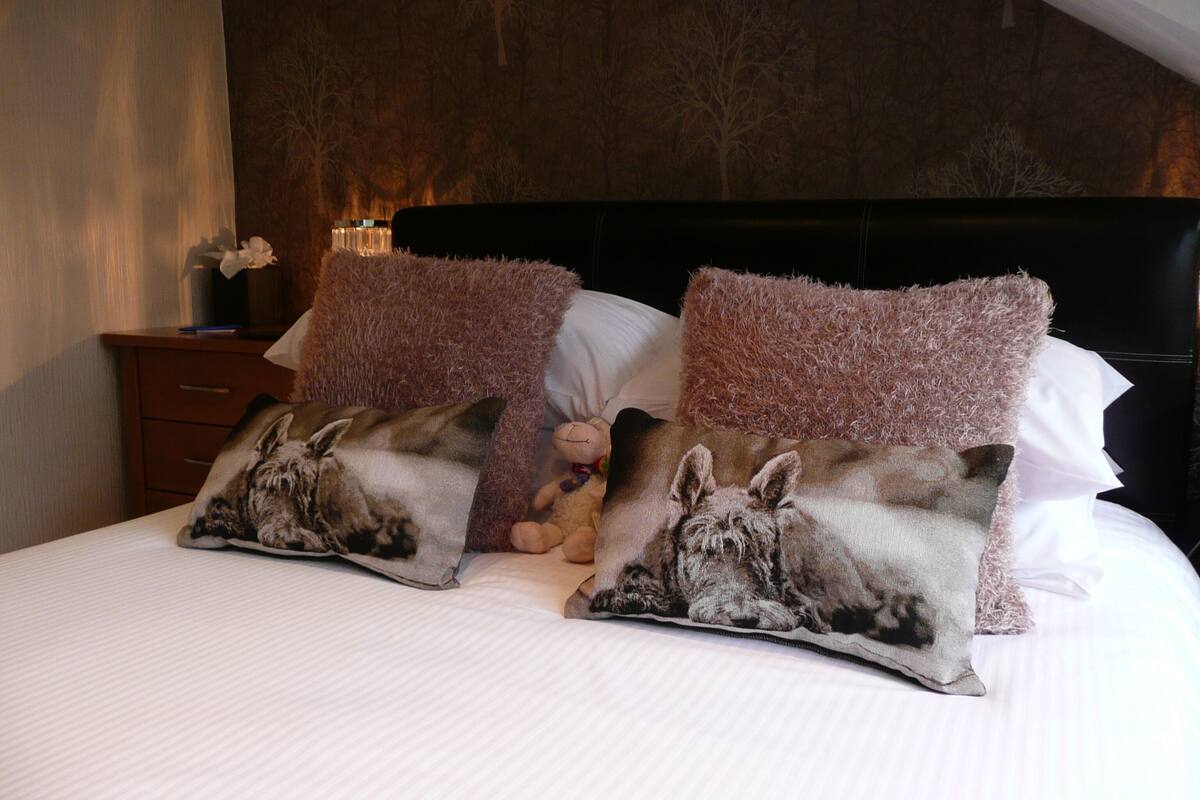OAK Room 5 Classic King Room | Egyptian cotton sheets, premium bedding, pillowtop beds, blackout drapes