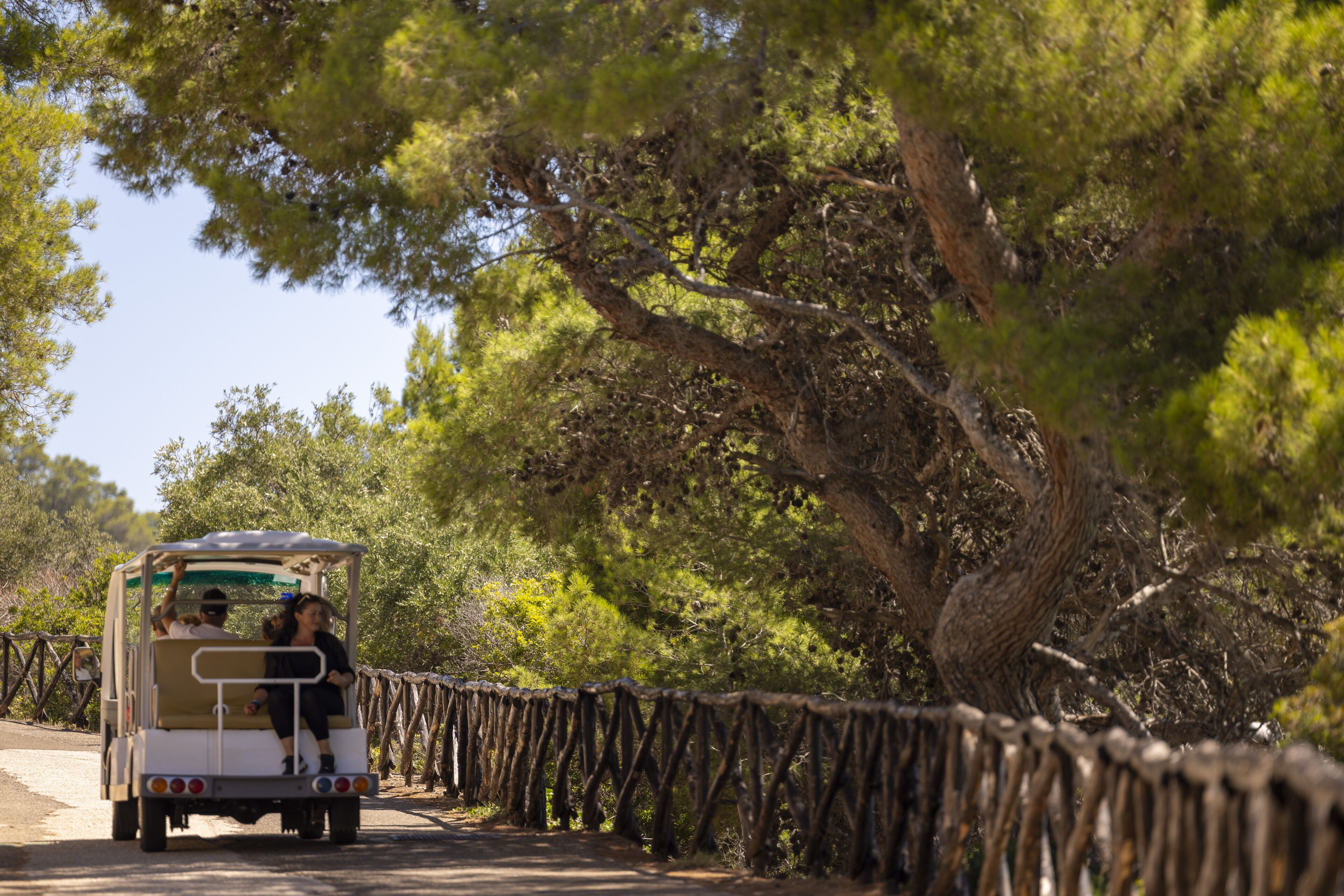 A vehicle with passengers on a dirt road, surrounded by trees and a wooden fence.