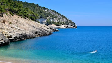 Private beach, white sand, free beach shuttle, sun-loungers