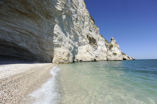 Private beach, white sand, free beach shuttle, sun loungers